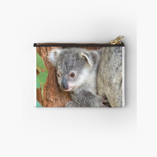 Item preview, Koala Baby: Curiosity designed and sold by Andrew Goodall.
