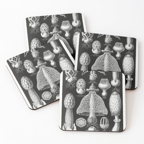 Item preview, Stinkhorn Mushrooms Basimycetes–Schwammpilze from Kunstformen der Natur (1904) by Ernst Haeckel. designed and sold by IMPHives.