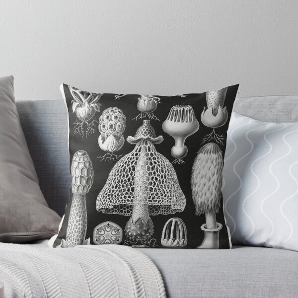 Item preview, Stinkhorn Mushrooms Basimycetes–Schwammpilze from Kunstformen der Natur (1904) by Ernst Haeckel. designed and sold by IMPHives.