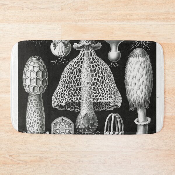 Item preview, Stinkhorn Mushrooms Basimycetes–Schwammpilze from Kunstformen der Natur (1904) by Ernst Haeckel. designed and sold by IMPHives.