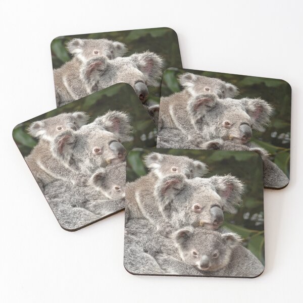 Item preview, Koalas: Sticking Close to Mum designed and sold by Andrew Goodall.
