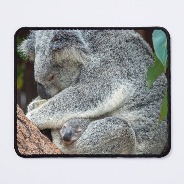 Item preview, Koala Nap Time: Mother and Baby designed and sold by Andrew Goodall.