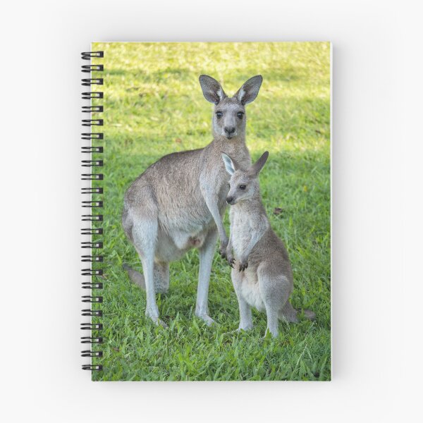 Item preview, Eastern Grey Kangaroo and Joey designed and sold by Andrew Goodall.