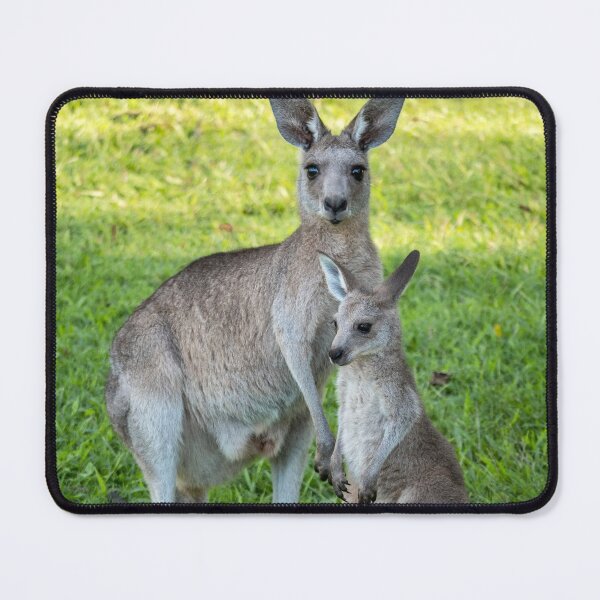 Item preview, Eastern Grey Kangaroo and Joey designed and sold by Andrew Goodall.