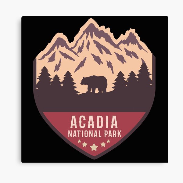 Acadia national park Canvas Print