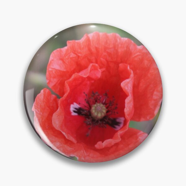 Artikelvorschau, Rote Mohnblume in voller Blüte entworfen und verkauft von Joan van der Wereld.