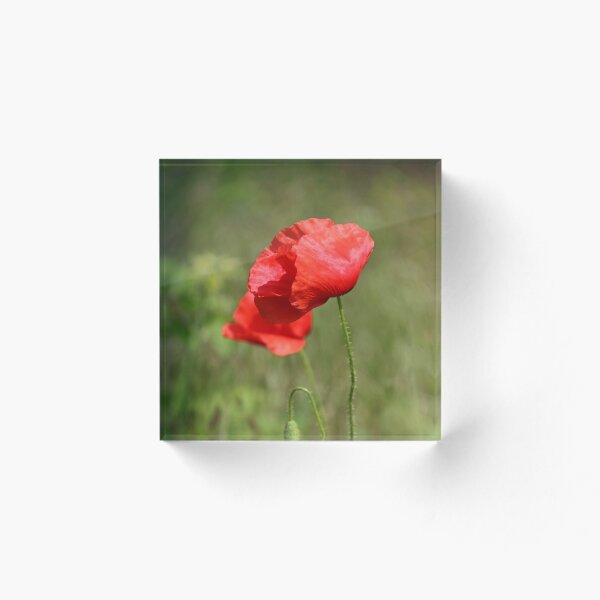 Item preview, Windblown Poppies designed and sold by Joan van der Wereld.
