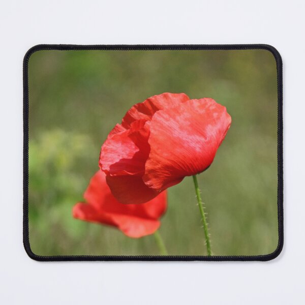 Item preview, Amapolas arrastradas por el viento designed and sold by Joan van der Wereld.
