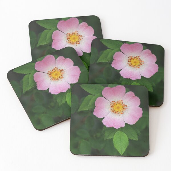 Item preview, Rosa Briar Rose designed and sold by Joan van der Wereld.