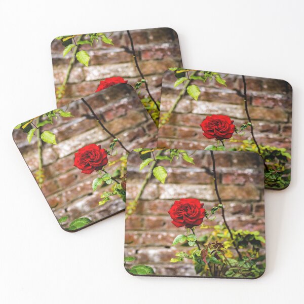 Item preview, Red rose and red brick wall designed and sold by AlbertMi.