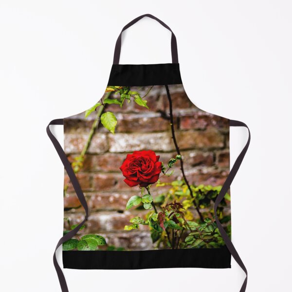 Item preview, Red rose and red brick wall designed and sold by AlbertMi.