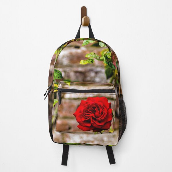 Item preview, Red rose and red brick wall designed and sold by AlbertMi.