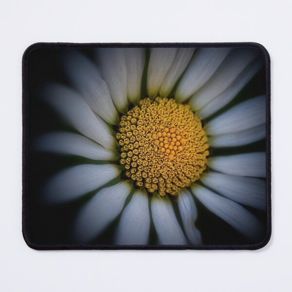 Item preview, Daisy designed and sold by Roberto Pagani.