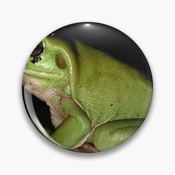 Item preview, Green Frog designed and sold by Geoff Treagus.