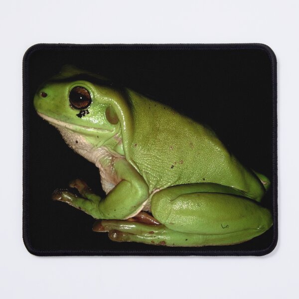 Item preview, Green Frog designed and sold by Geoff Treagus.