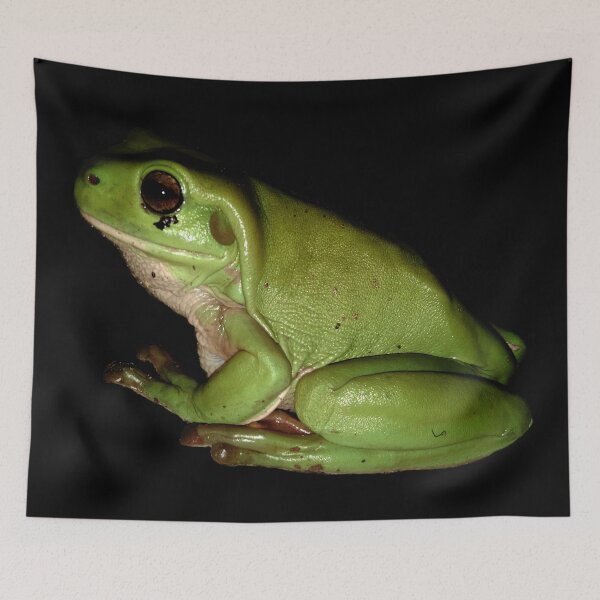Item preview, Green Frog designed and sold by Geoff Treagus.