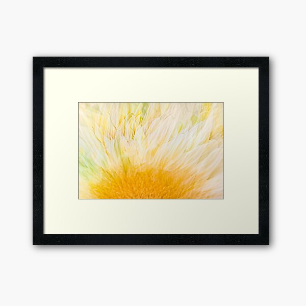 Item preview, Tournesol Gossamer designed and sold by Cheryl Lea Tarr.