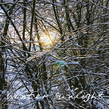 Artwork thumbnail, Winter Sunlight by hereandback