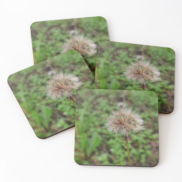 Item preview, Forest designed and sold by AnaRakanovic.
