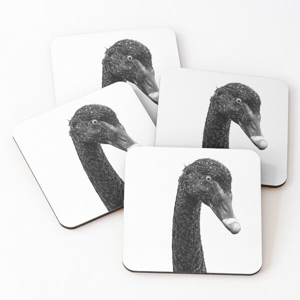 Item preview, Black Swan Tshirt designed and sold by Ireland Photography.