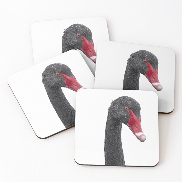 Item preview, Black Swan - the colour version designed and sold by Ireland Photography.