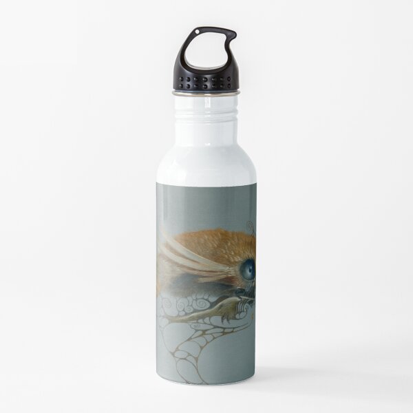 CloudExpress Water Bottle