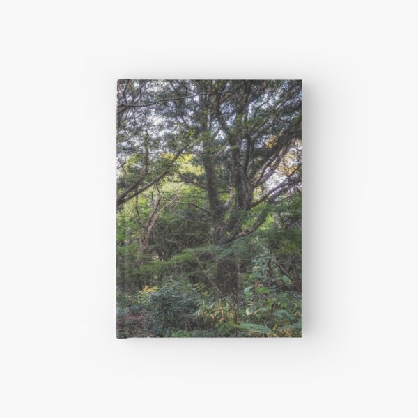 Item preview, Bijarim Forest in Jeju Island designed and sold by aaronchoi.
