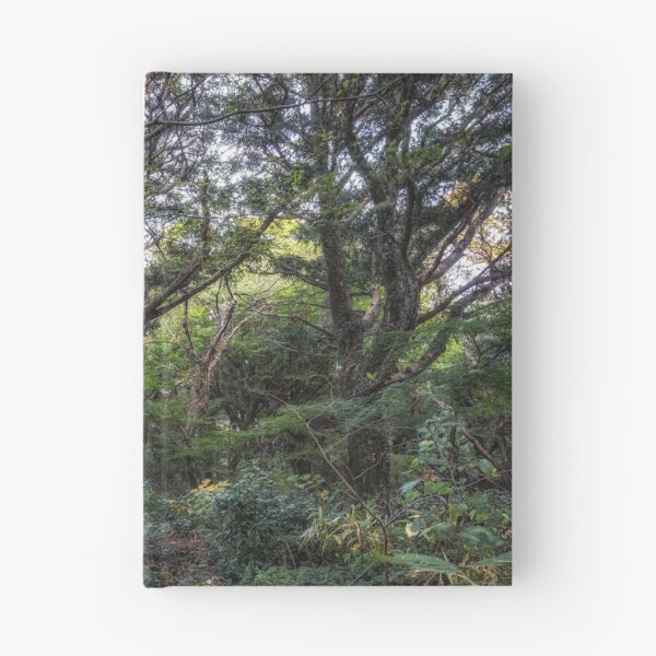 Item preview, Bijarim Forest in Jeju Island designed and sold by aaronchoi.