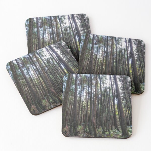 Item preview, Cryptomeria or Sugi tree forest designed and sold by aaronchoi.