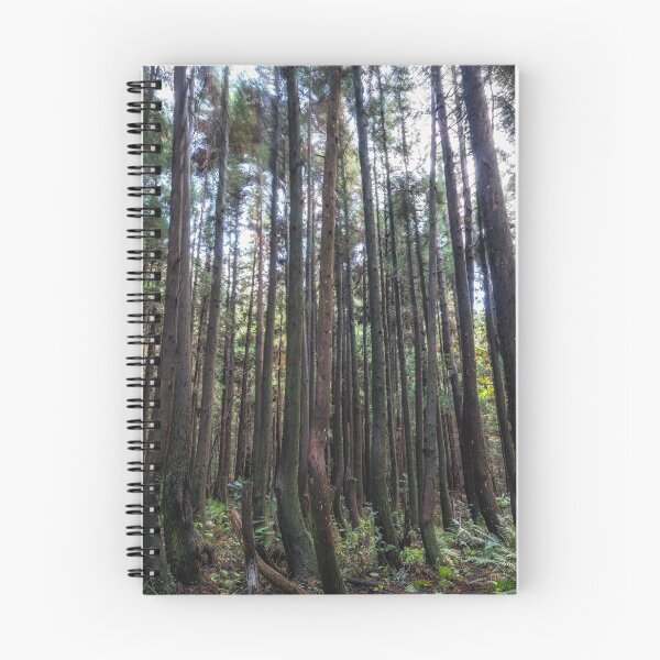 Item preview, Cryptomeria or Sugi tree forest designed and sold by aaronchoi.