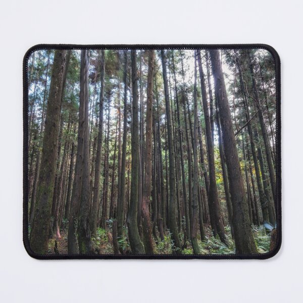 Item preview, Cryptomeria or Sugi tree forest designed and sold by aaronchoi.