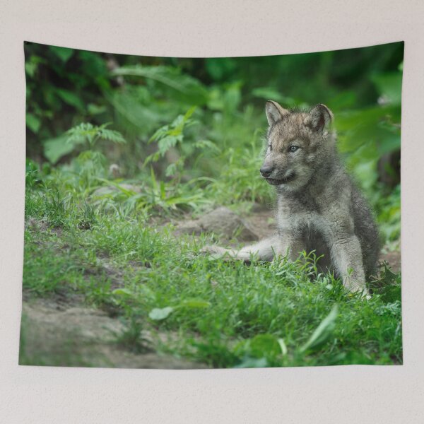 Item preview, Timber Wolf Pup designed and sold by WolvesOnly.