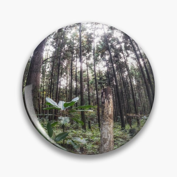 Item preview, Cryptomeria or Sugi tree forest designed and sold by aaronchoi.