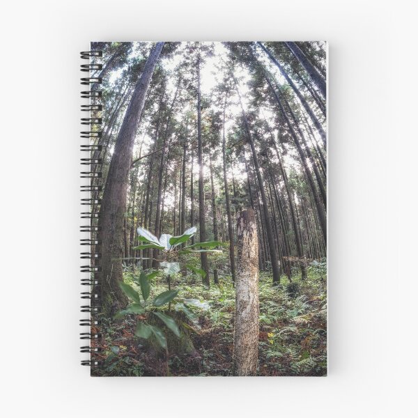 Item preview, Cryptomeria or Sugi tree forest designed and sold by aaronchoi.