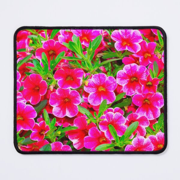 Item preview, Blooming Pinkish Purple Petunia designed and sold by IraNiva.