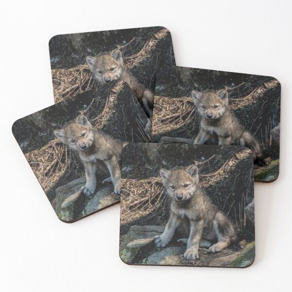 Item preview, Timber Wolf Pup designed and sold by WolvesOnly.