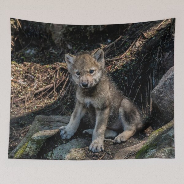 Item preview, Timber Wolf Pup designed and sold by WolvesOnly.