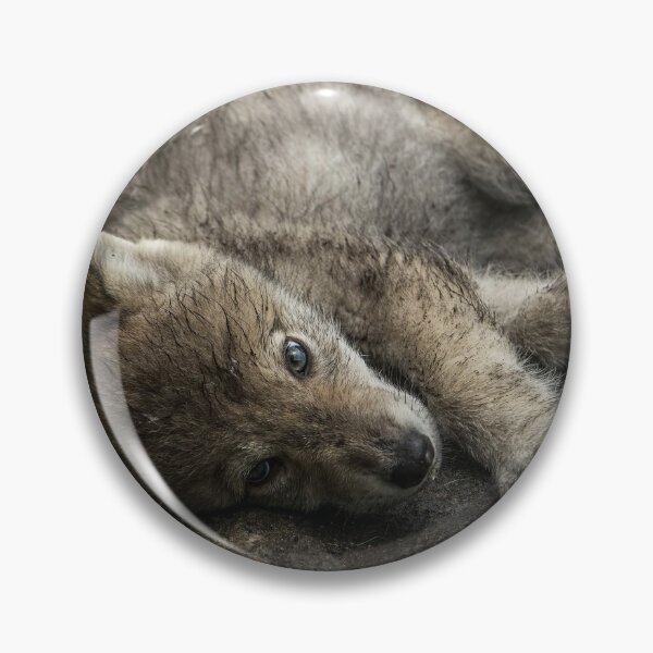 Item preview, Timber Wolf Pup designed and sold by WolvesOnly.