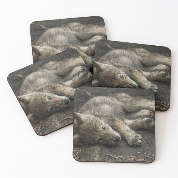 Item preview, Timber Wolf Pup designed and sold by WolvesOnly.