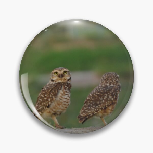 Item preview,  burrowing owl designed and sold by Tiagoxarao1112.