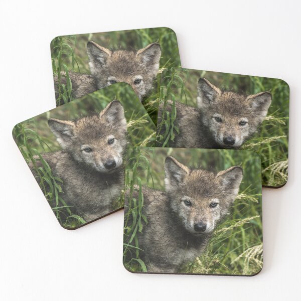Item preview, Timber Wolf Pup designed and sold by WolvesOnly.