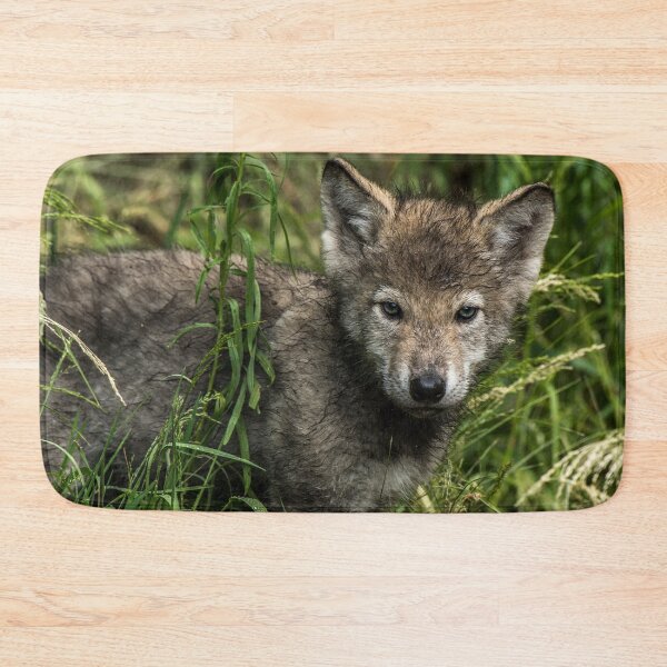 Item preview, Timber Wolf Pup designed and sold by WolvesOnly.