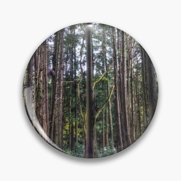 Item preview, Jeju Island Secret forest cypress trees  designed and sold by aaronchoi.
