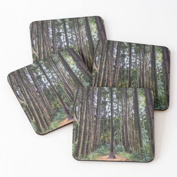 Item preview, Jeju Island Secret forest cypress trees  designed and sold by aaronchoi.