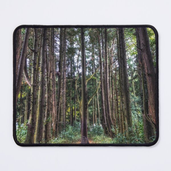 Item preview, Jeju Island Secret forest cypress trees  designed and sold by aaronchoi.