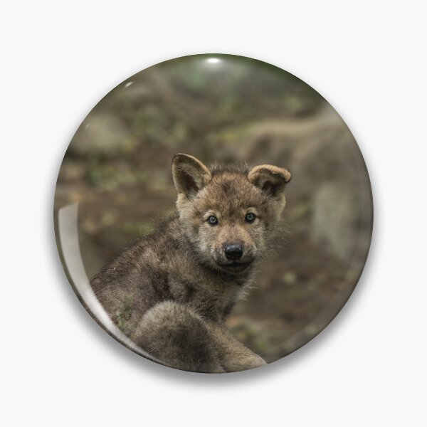 Item preview, Timber Wolf Pup designed and sold by WolvesOnly.