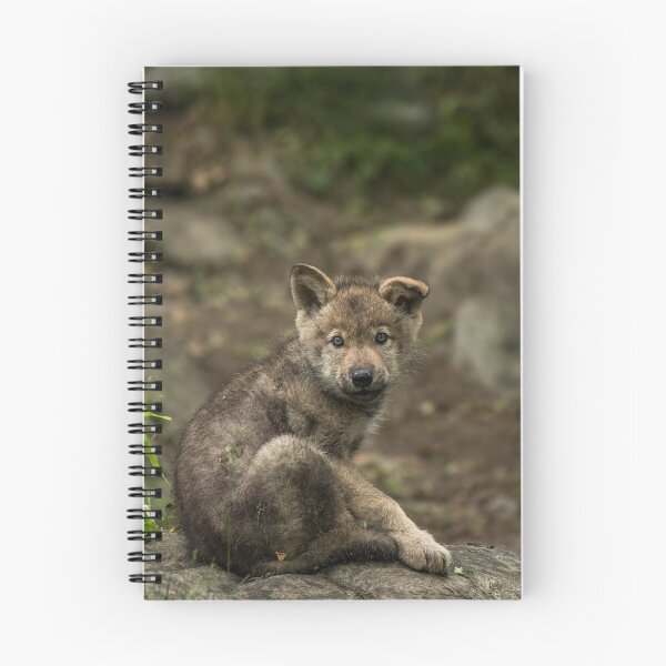 Item preview, Timber Wolf Pup designed and sold by WolvesOnly.