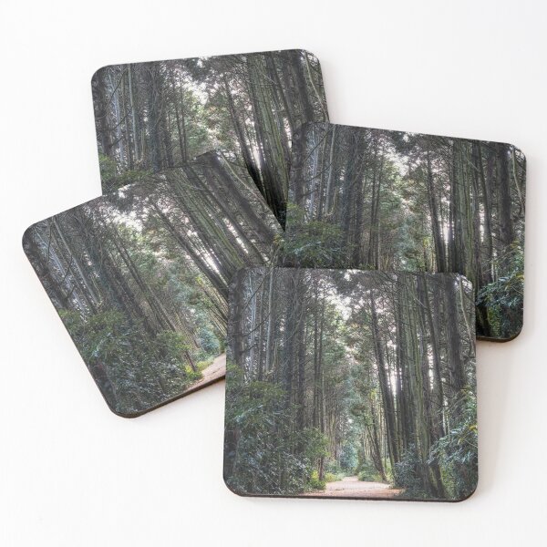 Item preview, Jeju Island Secret forest cypress trees  designed and sold by aaronchoi.