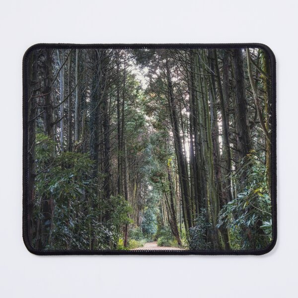 Item preview, Jeju Island Secret forest cypress trees  designed and sold by aaronchoi.