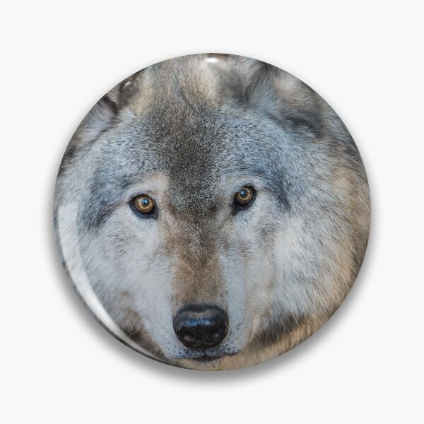 Artikelvorschau, Timber Wolf entworfen und verkauft von WolvesOnly.